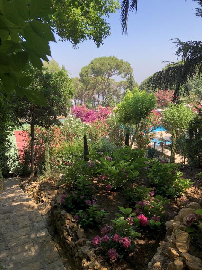 Splendid Valley & Sea View photo