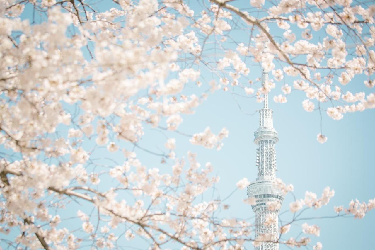 Evergreen hotel ichigaya luxe