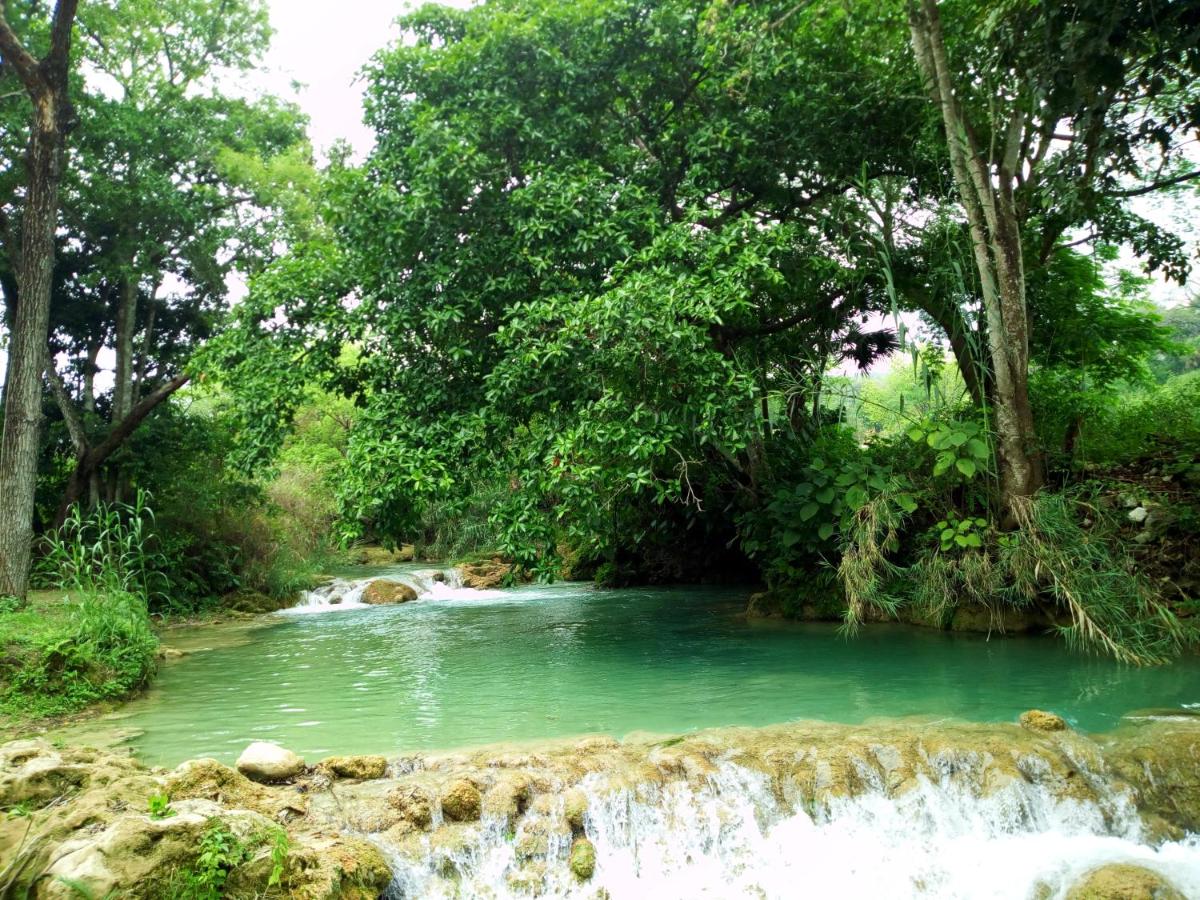 sierra verde xbox méxico