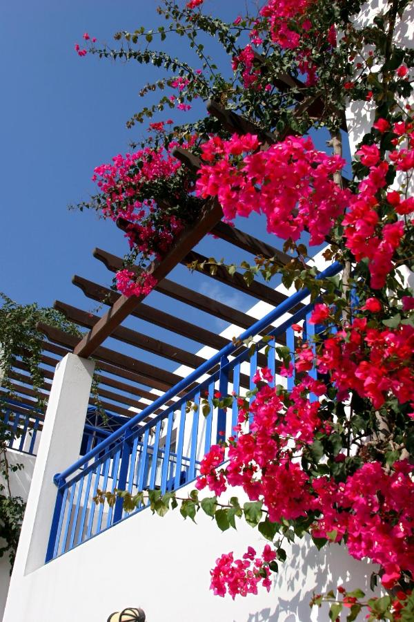 Aliathon Aegean photo