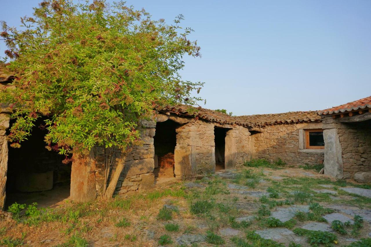 La Casa de Salce, Salce – Nove cijene za 2022.