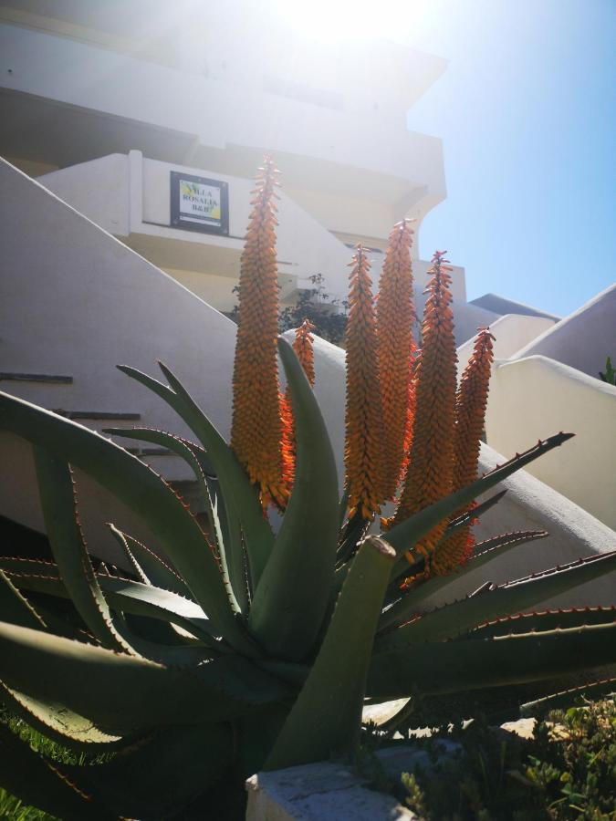 B&b Villa Rosalia photo