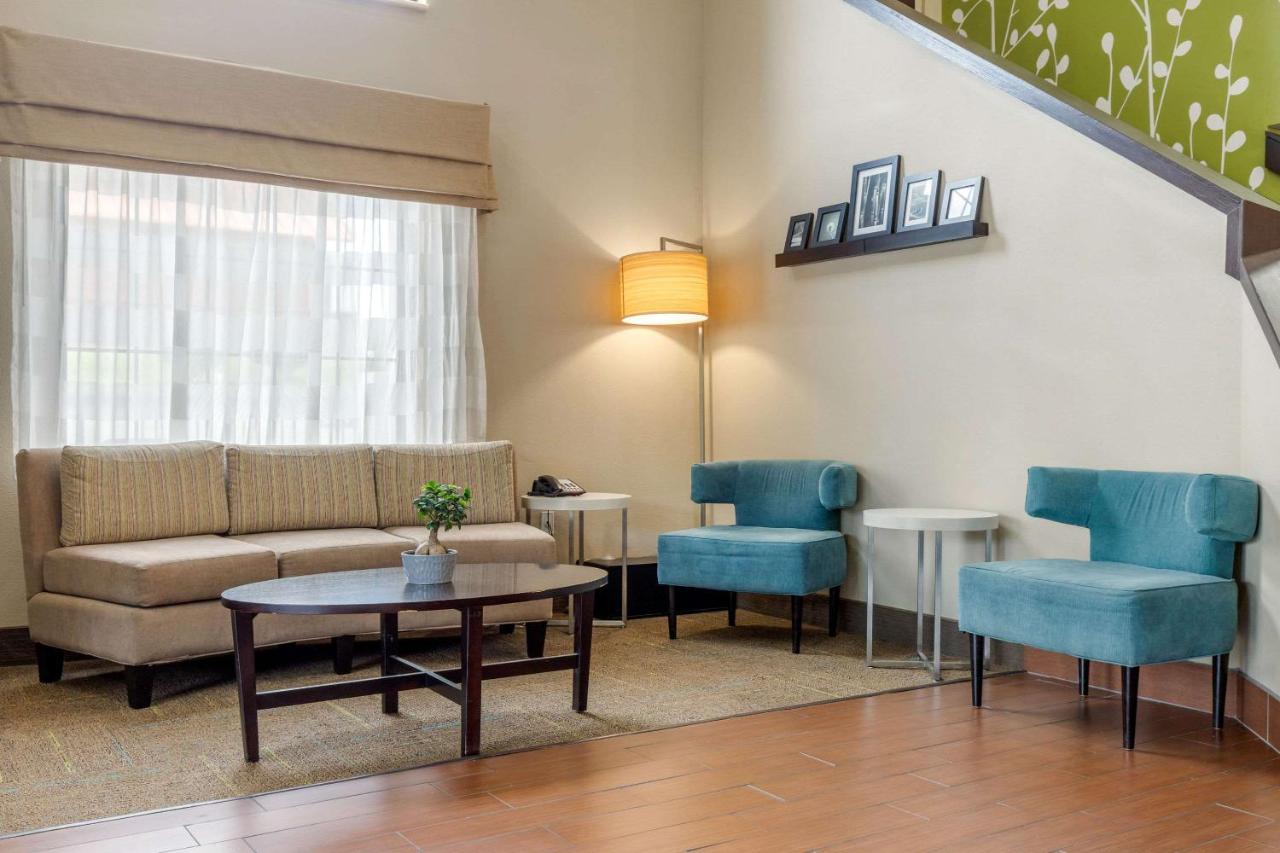 TRUMPS INN — photo 12