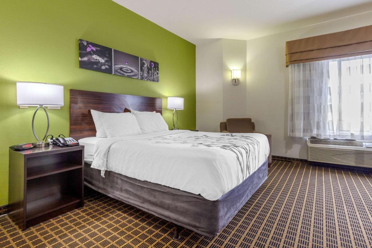 TRUMPS INN — photo 14