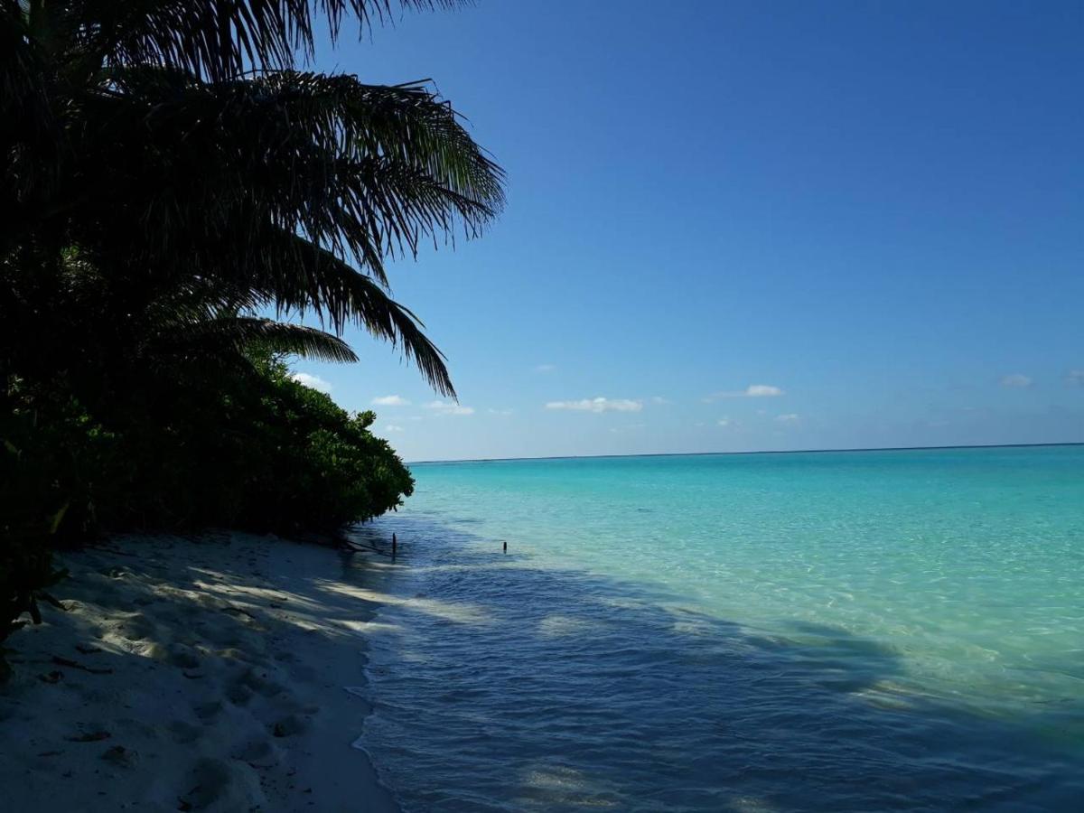 Dacha Thoddoo White Sand - 5