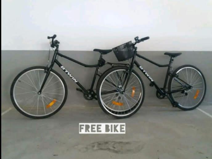 Typical fishing village in historic center II - 3