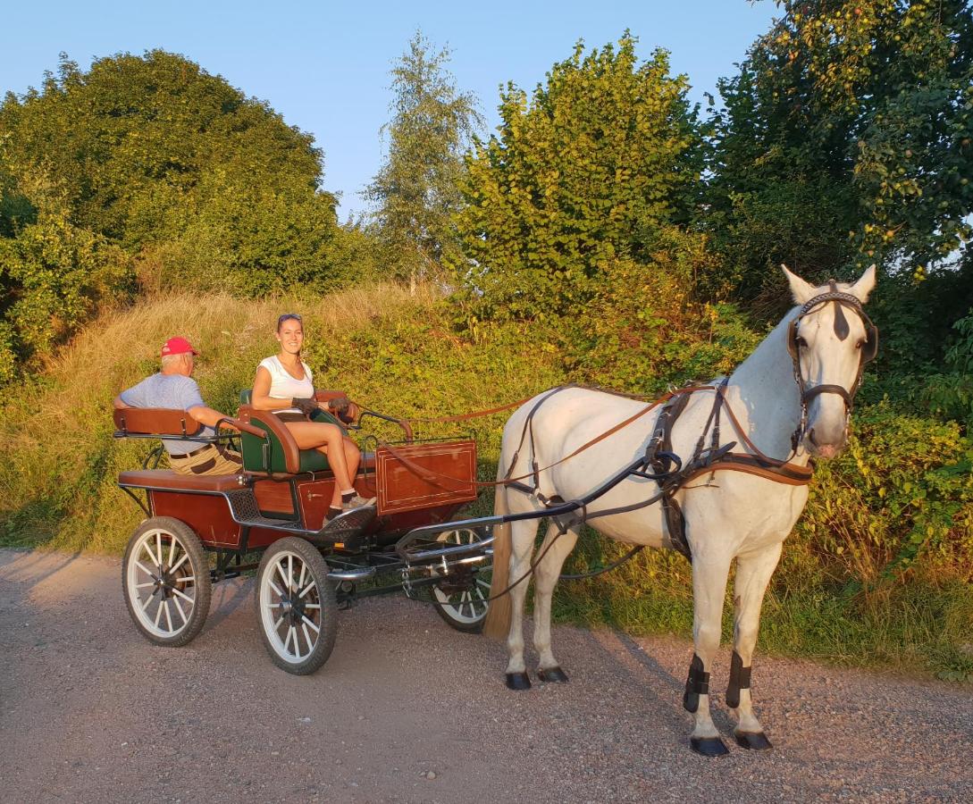 Farm Stay Nh Stables Nyrany 22年 最新料金