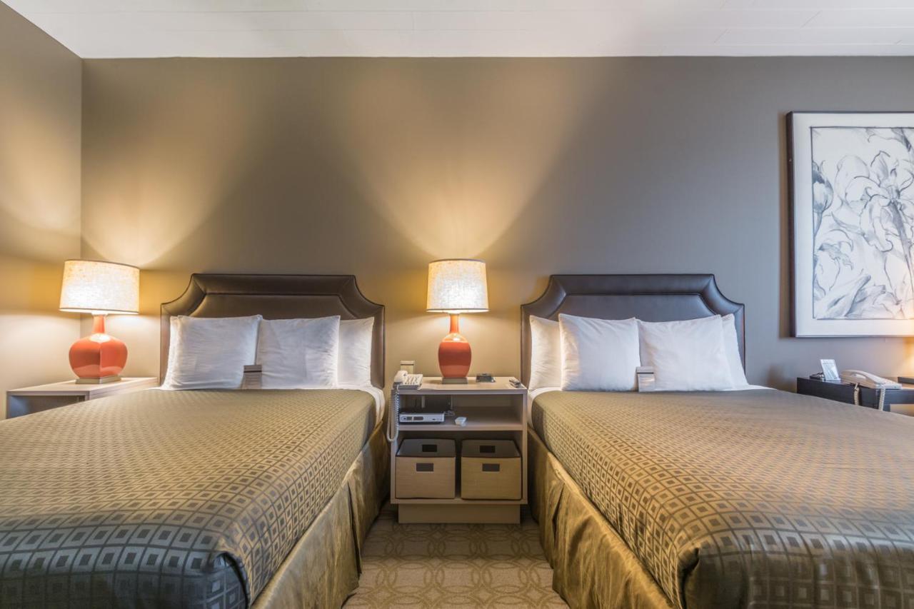 Proximity Hotel — photo 4