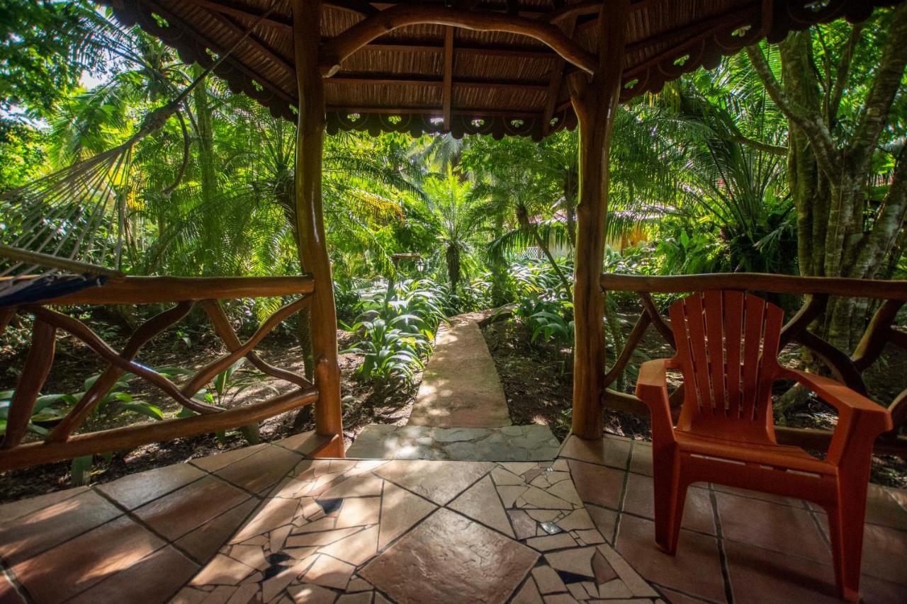 Hotel La Costa de Papito photo