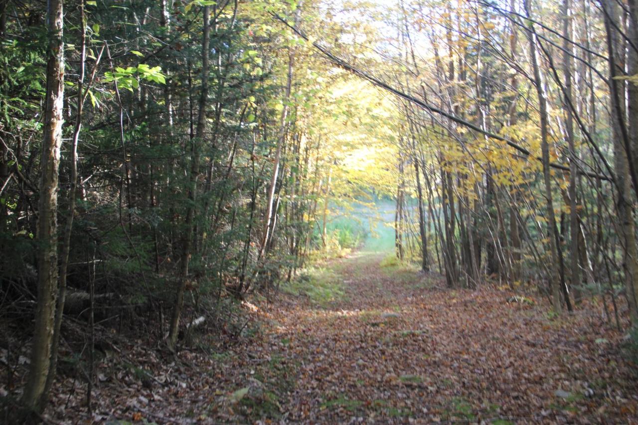 Mountain View Inn — photo 11