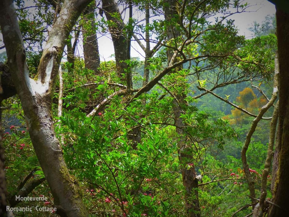 Monteverde Romantic Cottage photo