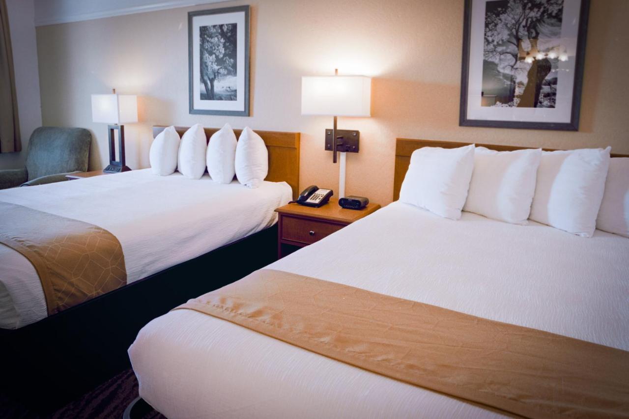 Pines Inn & Suites — photo 14