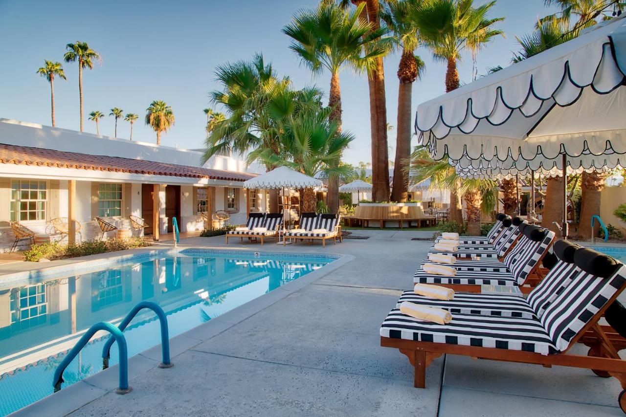 Dive Palm Springs Hotel - 21 & Over — photo 2