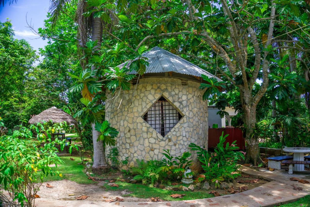 Yoga Dreams Negril - 3