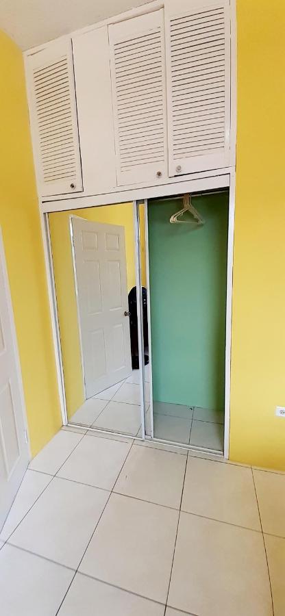 Spring Palm Estate - 4