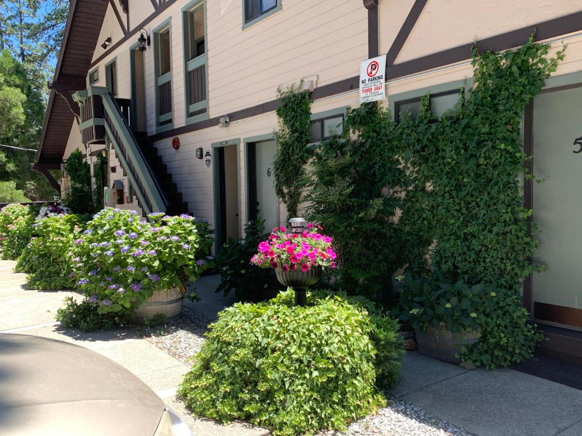 The North Shore Inn — photo 16