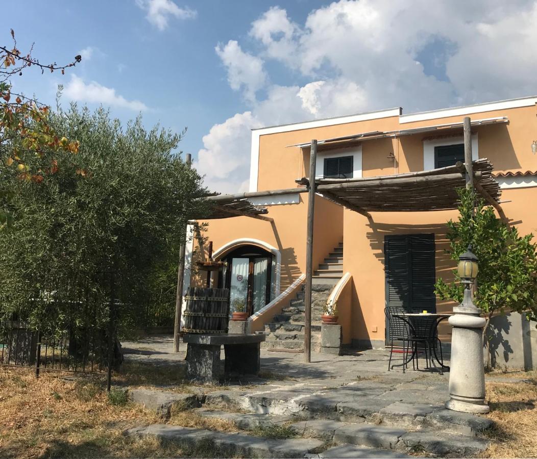 Domus Agricolae Corallina photo