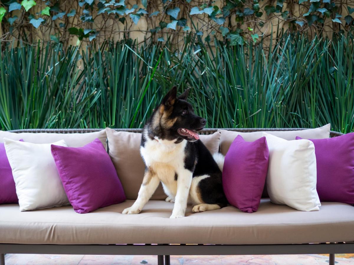 Dominion Polanco - 2