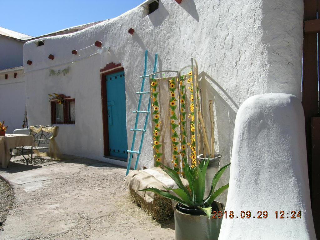 Casita del Cranes — photo 14