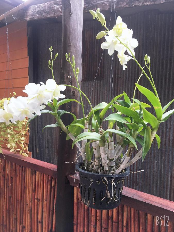 Lanta Sabai Day House Ko Lanta Thailand Booking Com