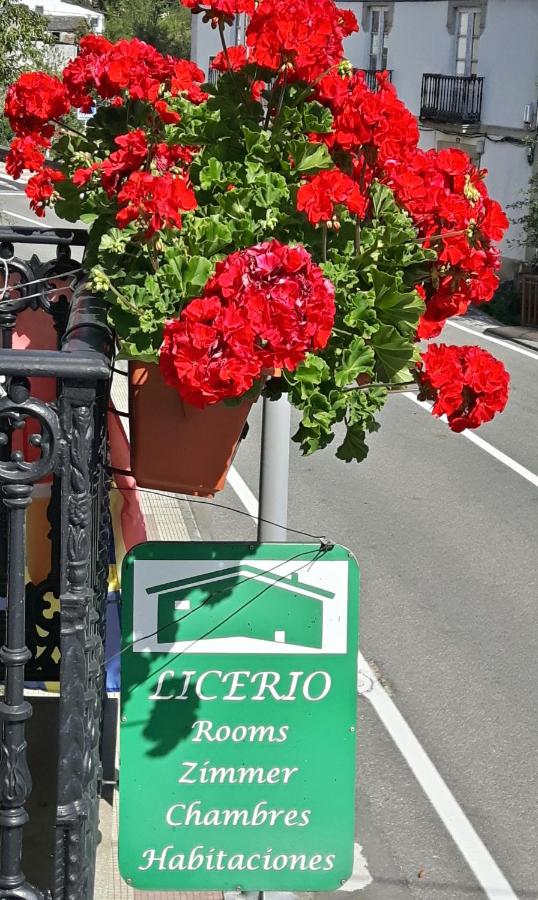 Casa Licerio - 5