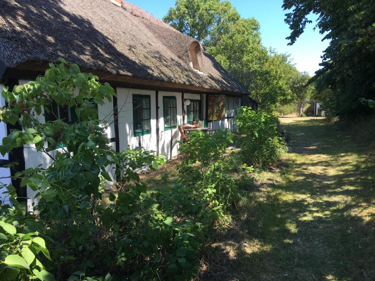 Cottage House, Anholt – opdaterede priser for 2022