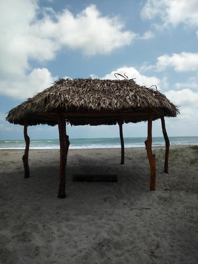 Beach: Jardin Pacifico Bungalow Room