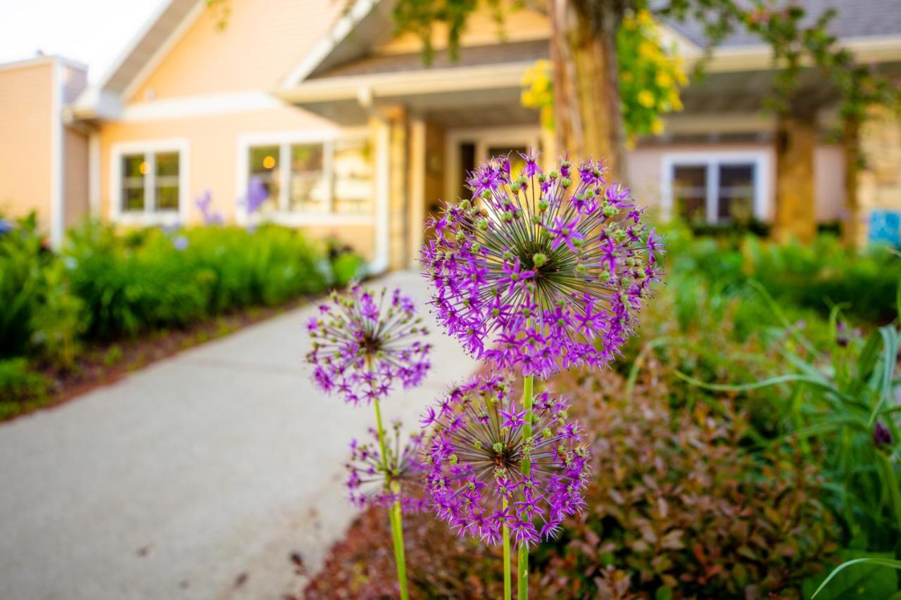 Westwood Shores Waterfront Resort — photo 16