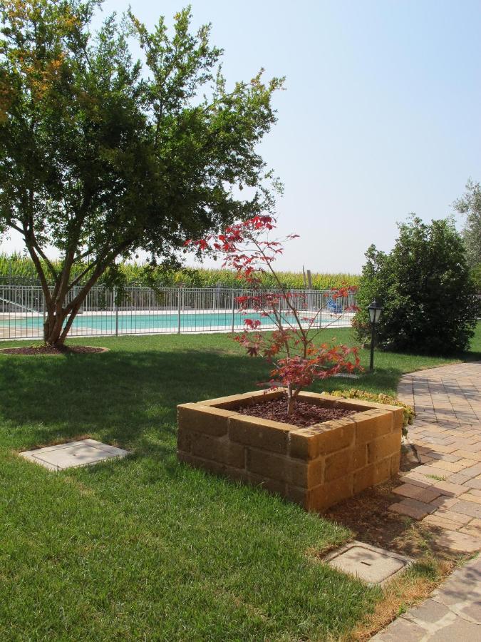 Agriturismo Bortolino photo