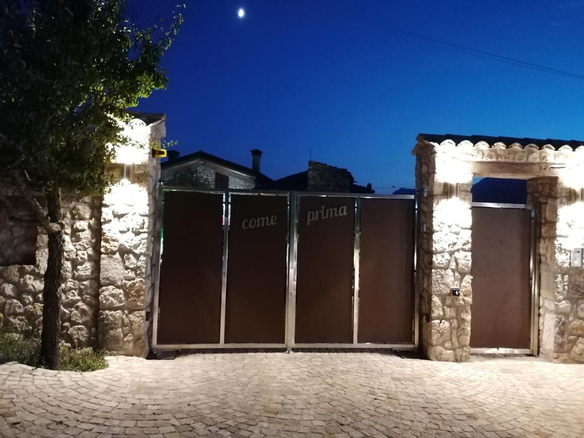 Come Prima Ausonia Updated 22 Prices