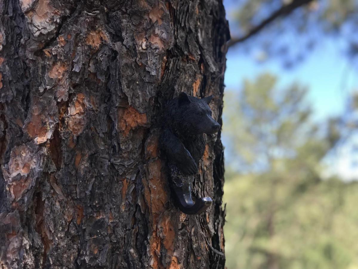 Little Bear Cabin Ruidoso, NM — photo 19