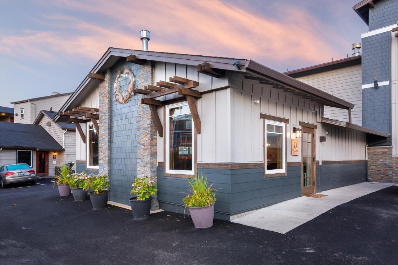 The Coho Oceanfront Lodge — photo 6