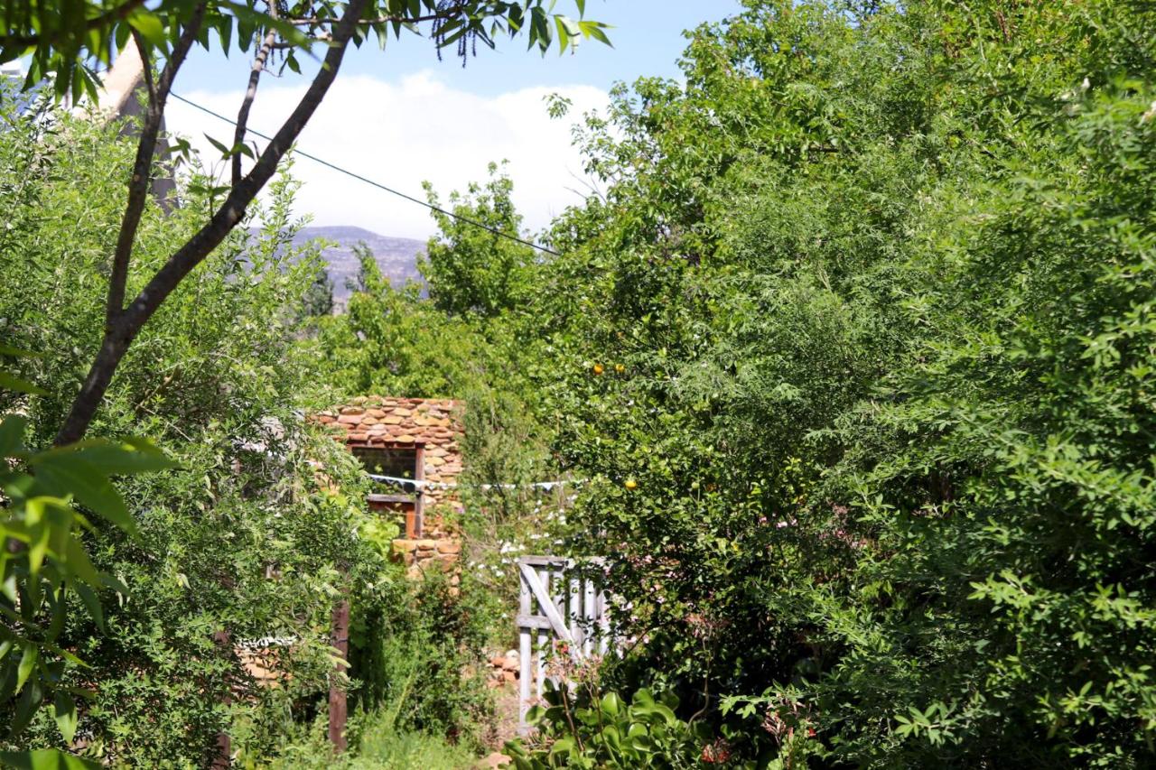 Bethany Farms Bed & Breakfast — photo 13