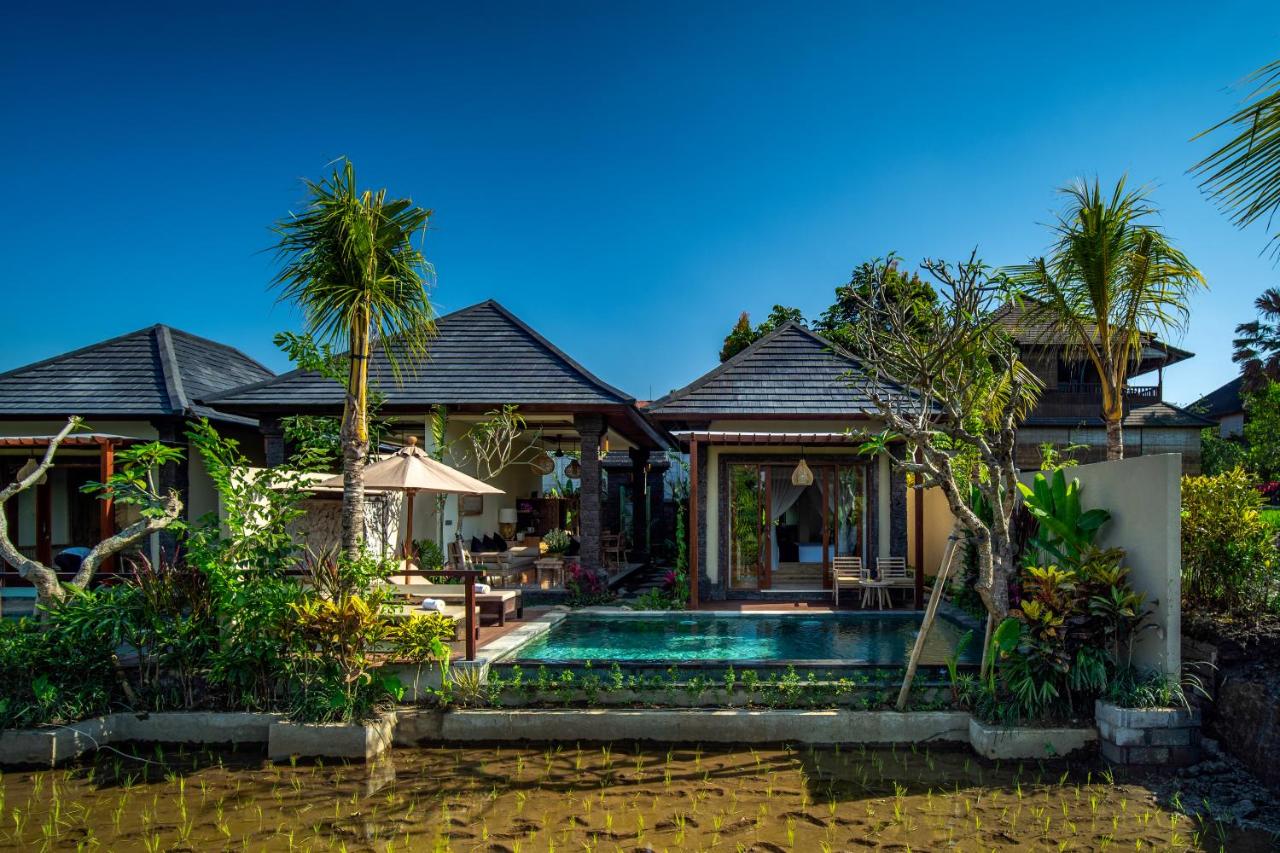 Bliss Ubud Luxury Villa - 4