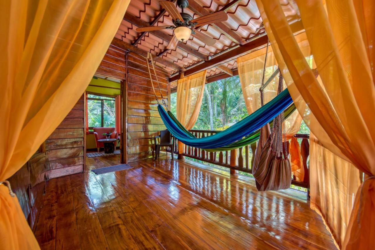 Caribe Town Bungalows photo