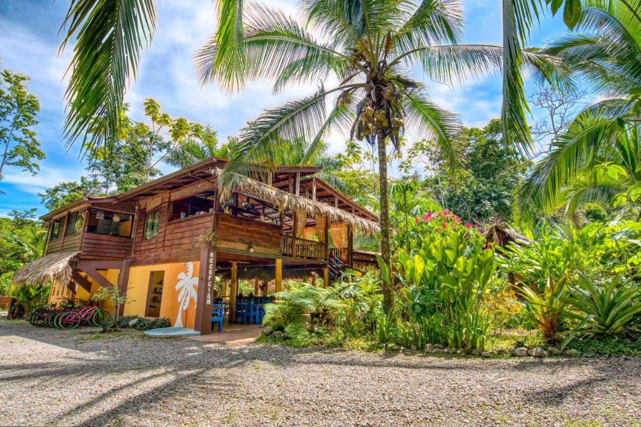 Caribe Town Bungalows photo