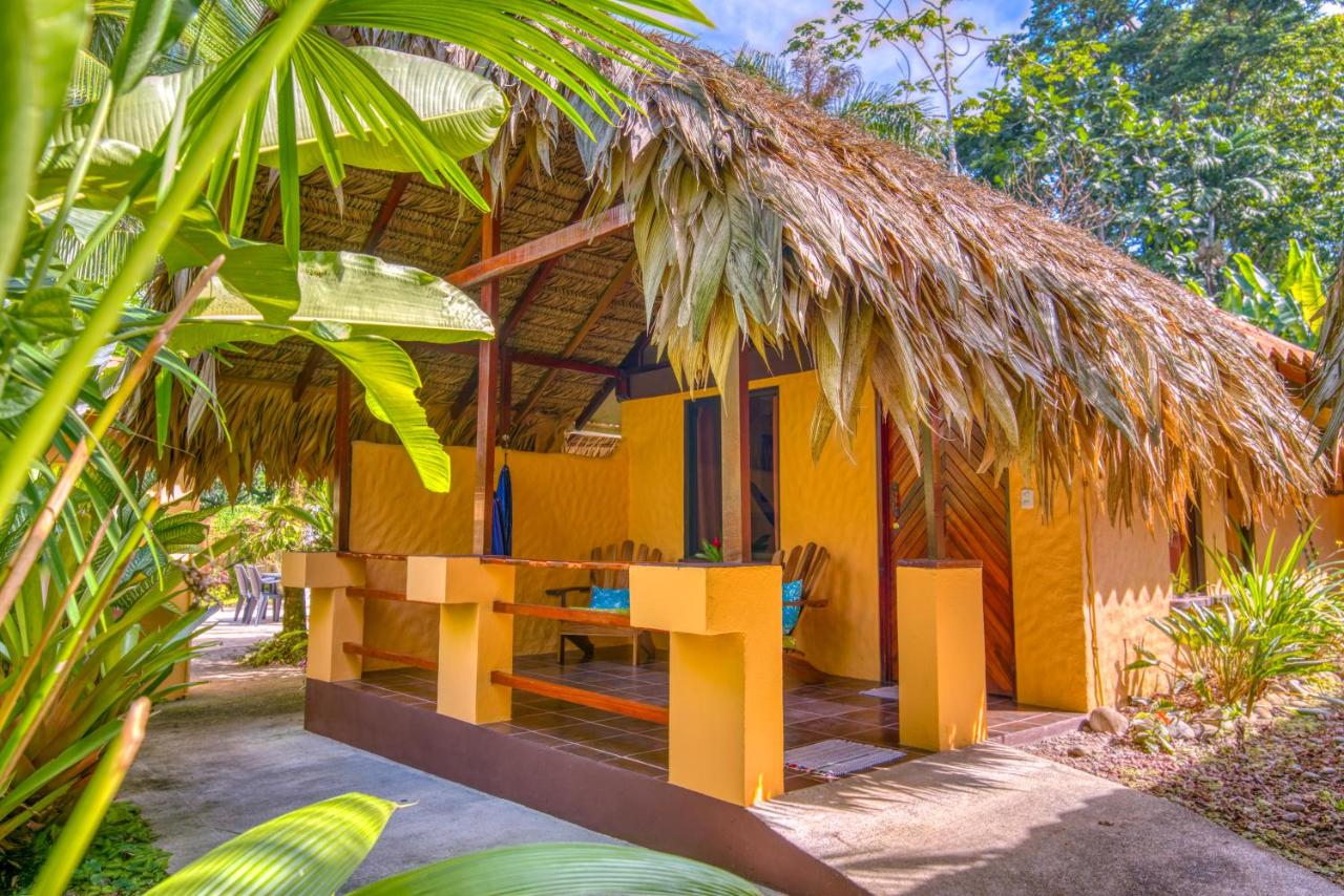 Caribe Town Bungalows photo