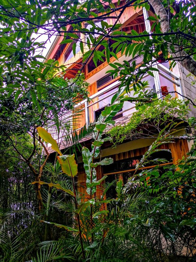 Monteverde Villa Lodge photo