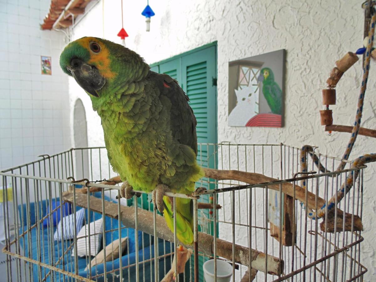 Hostel Maresias do Leme photo