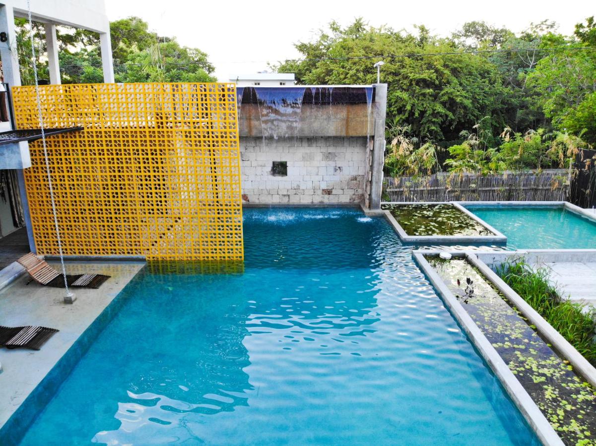 Rooftop swimming pool: Hotel Makaabá Eco-Boutique