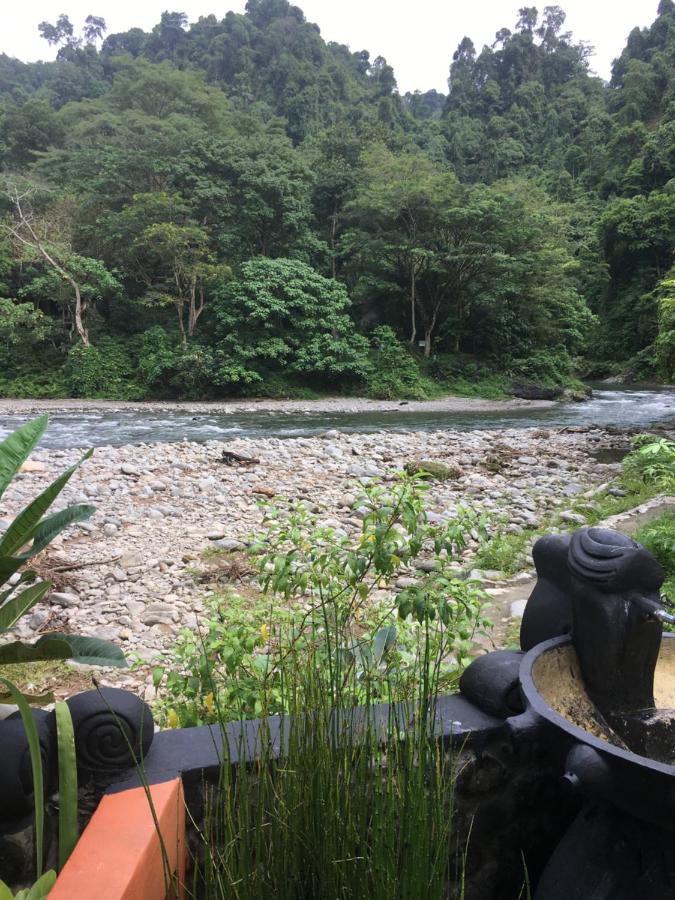 Beach: Jungle Inn Bukit lawang
