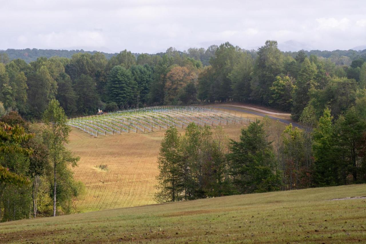 Dahlonega — photo 8
