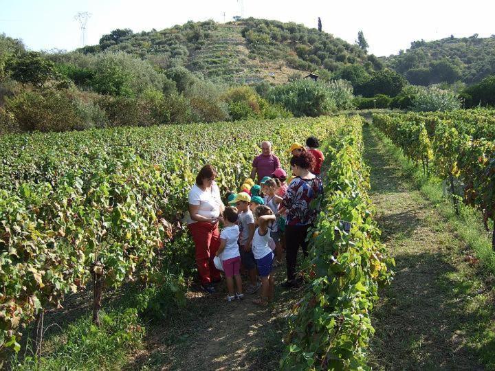 Agriturismo Parra photo