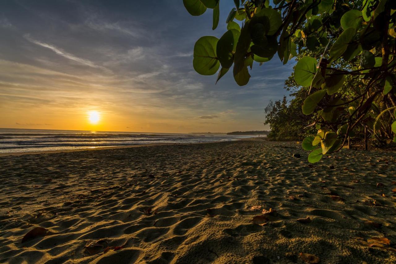 Cariblue Beach and Jungle Resort photo