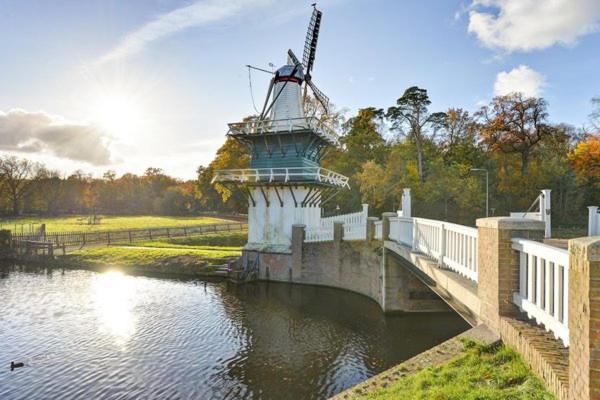 Tiny House Lindenhouse - 5