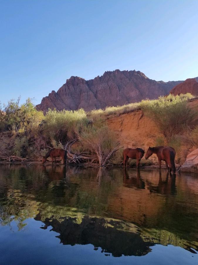 Lee's Ferry Lodge at Vermilion Cliffs — photo 23
