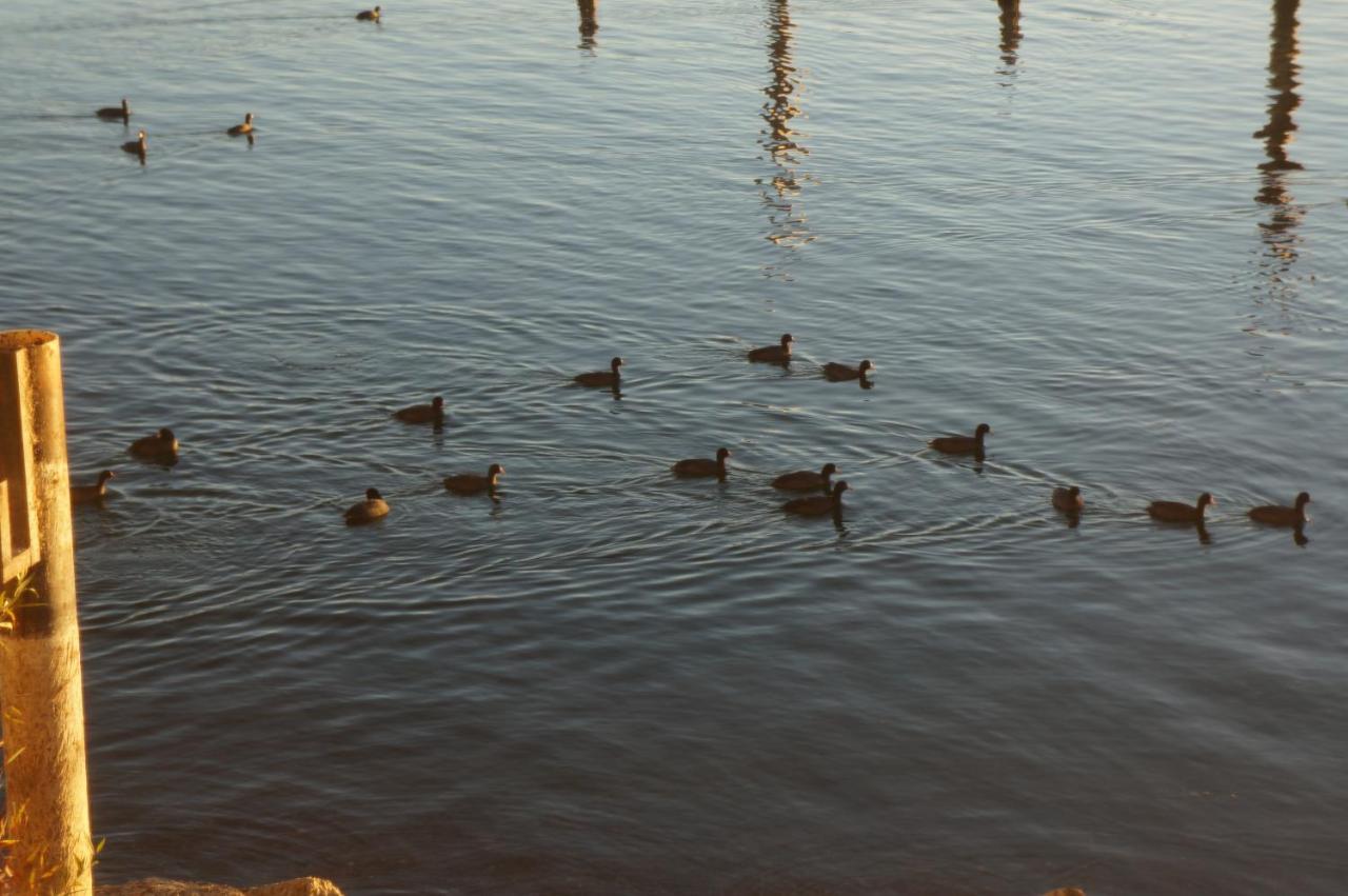 Lake Marina Inn — photo 17