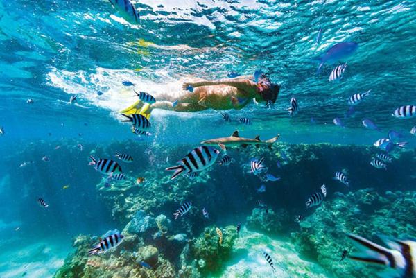 Sunrise Lagoon Homestay - 5