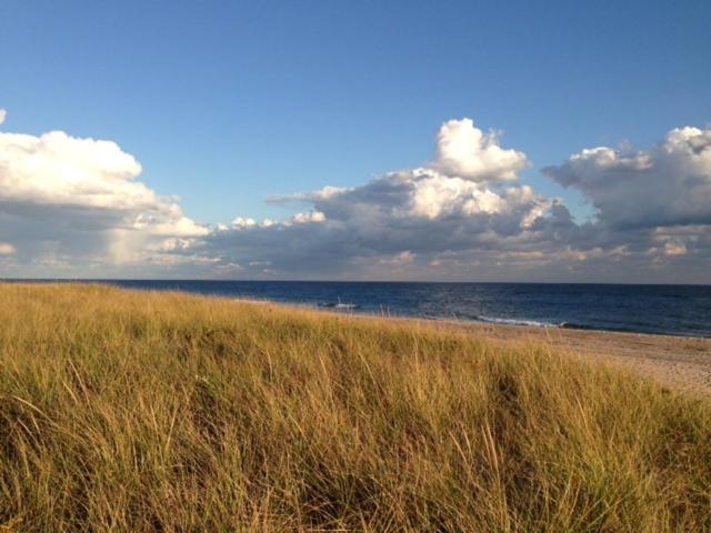 Ocean Vista Resort — photo 22