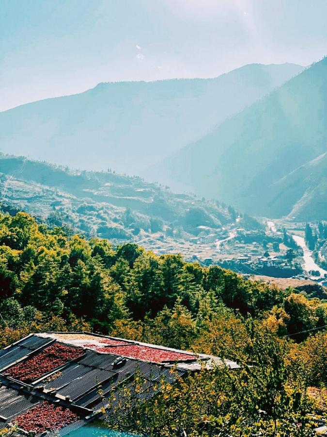 The Postcard Dewa, Thimphu, Bhutan photo